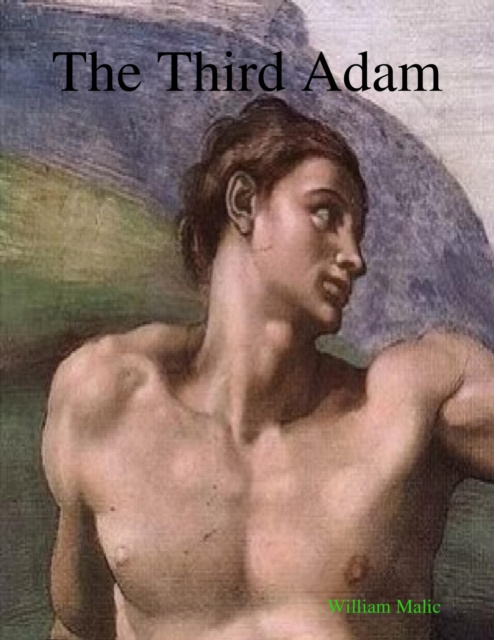E-knjiga Third Adam Malic William Malic