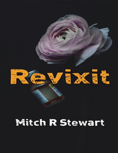 E-knjiga Revixit Stewart Mitch R Stewart