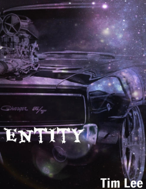 E-knjiga Entity Lee Tim Lee