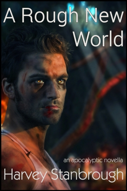 E-knjiga Rough New World Harvey Stanbrough