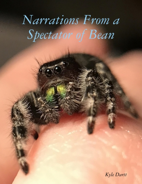 E-knjiga Narrations From a Spectator of Bean Dartt Kyle Dartt