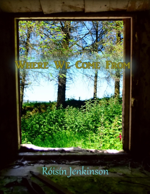 E-knjiga Where We Come From Jenkinson Roisin Jenkinson