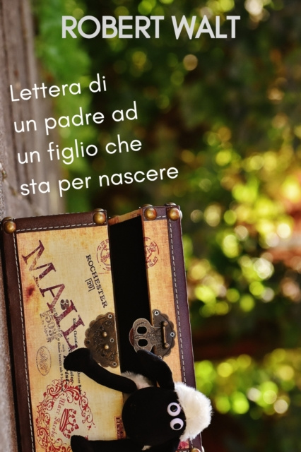 E-book Lettera di un padre ad un figlio che sta per nascere Robert Walt