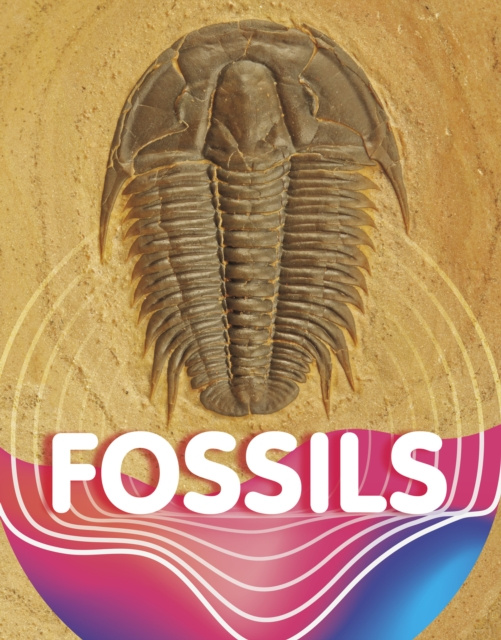 E-book Fossils Keli Sipperley