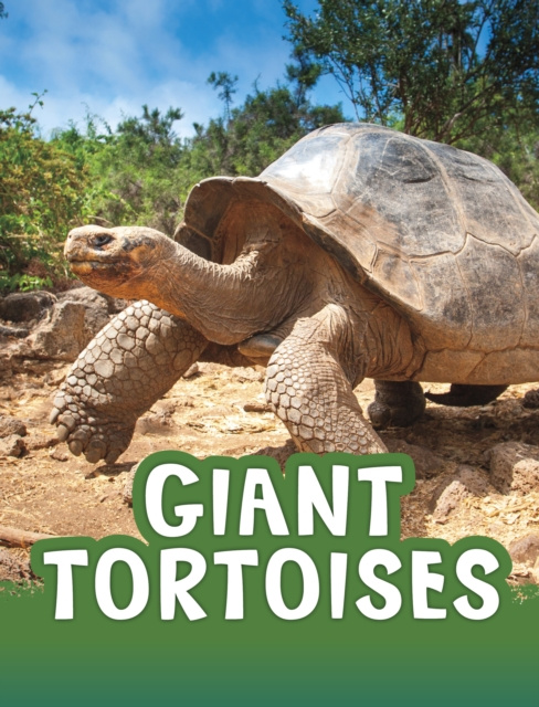 E-knjiga Giant Tortoises Jaclyn Jaycox