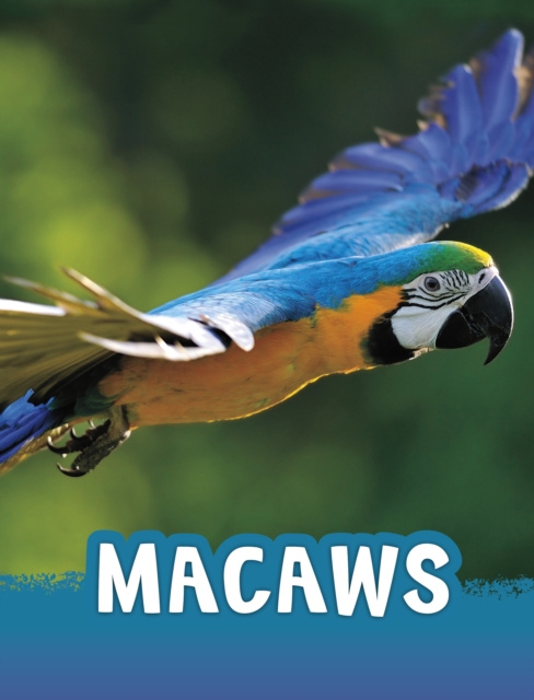 E-knjiga Macaws Jaclyn Jaycox