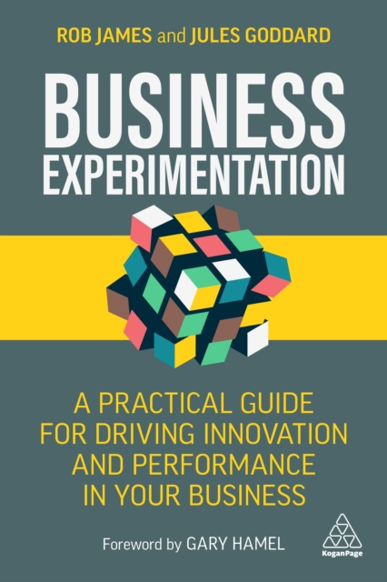 E-book Business Experimentation Rob James