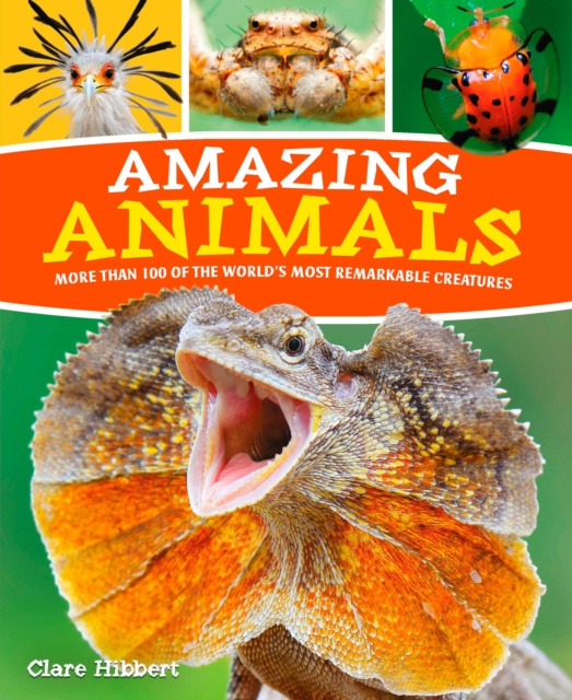 E-Book Amazing Animals Claire Hibbert