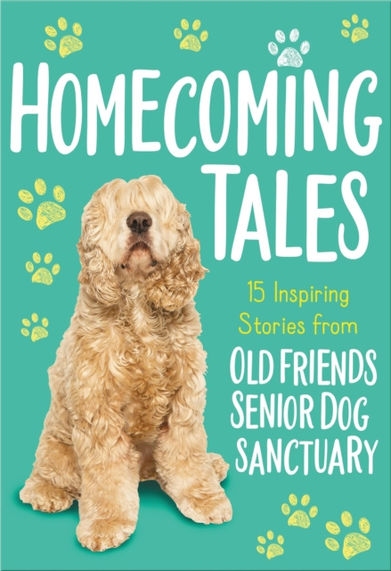 E-book Homecoming Tales Old Friends Senior Dog Sanctuary