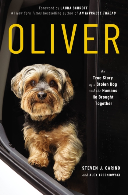 E-book Oliver Steven  J. Carino