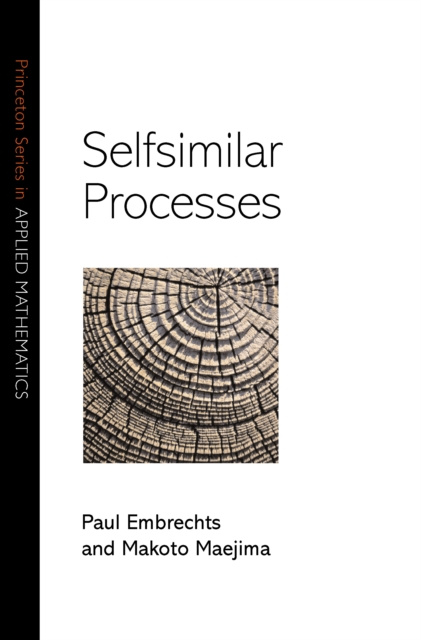 E-book Selfsimilar Processes Paul Embrechts