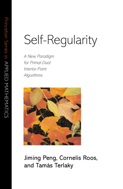 E-book Self-Regularity Jiming Peng