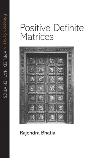 E-kniha Positive Definite Matrices Rajendra Bhatia