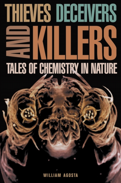E-Book Thieves, Deceivers, and Killers William Agosta