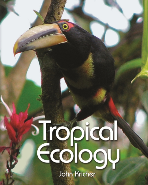 E-book Tropical Ecology John Kricher