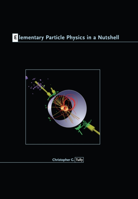 E-knjiga Elementary Particle Physics in a Nutshell Christopher G. Tully