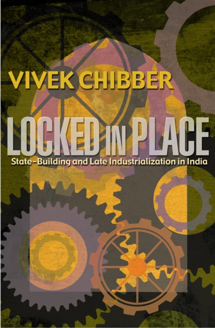 E-book Locked in Place Vivek Chibber