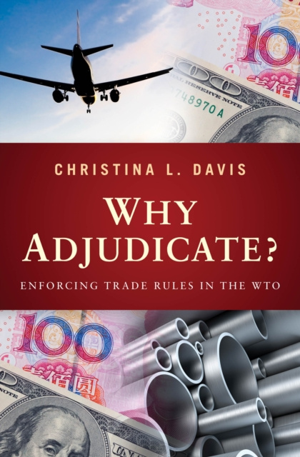 E-knjiga Why Adjudicate? Christina L. Davis