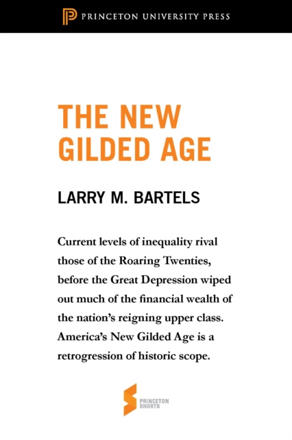 E-book New Gilded Age Larry M. Bartels