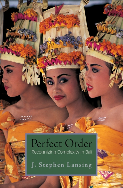 E-book Perfect Order J. Stephen Lansing