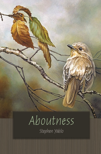 E-book Aboutness Stephen Yablo
