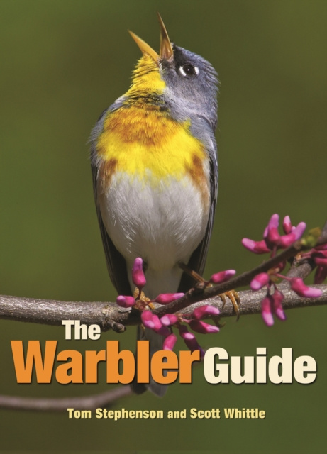 E-book Warbler Guide Tom Stephenson