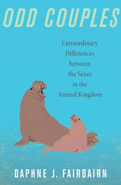 E-knjiga Odd Couples Daphne J. Fairbairn