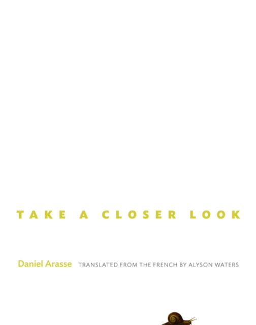 E-kniha Take a Closer Look Daniel Arasse