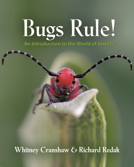 E-book Bugs Rule! Whitney Cranshaw