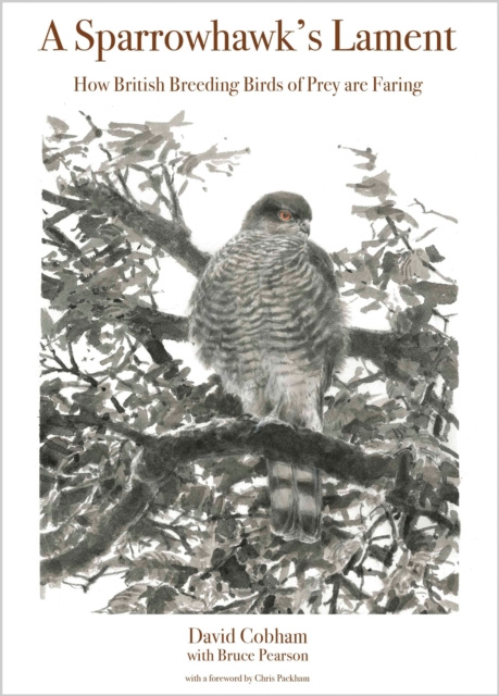 E-kniha Sparrowhawk's Lament David Cobham