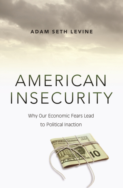 E-Book American Insecurity Adam Seth Levine
