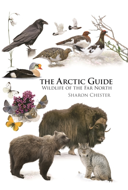 E-knjiga Arctic Guide Sharon Chester