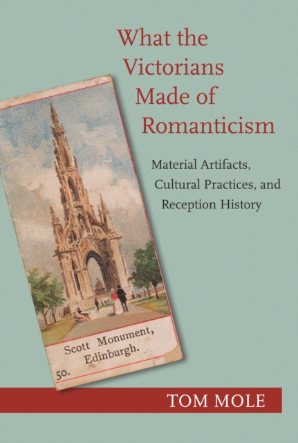 E-kniha What the Victorians Made of Romanticism Tom Mole