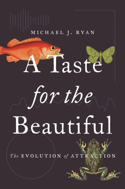 E-kniha Taste for the Beautiful Michael J. Ryan