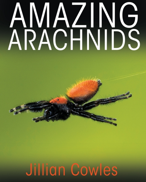 E-book Amazing Arachnids Jillian Cowles