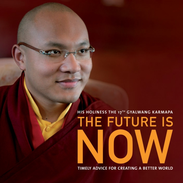 E-Book Future Is Now Ogyen Trinley Dorje