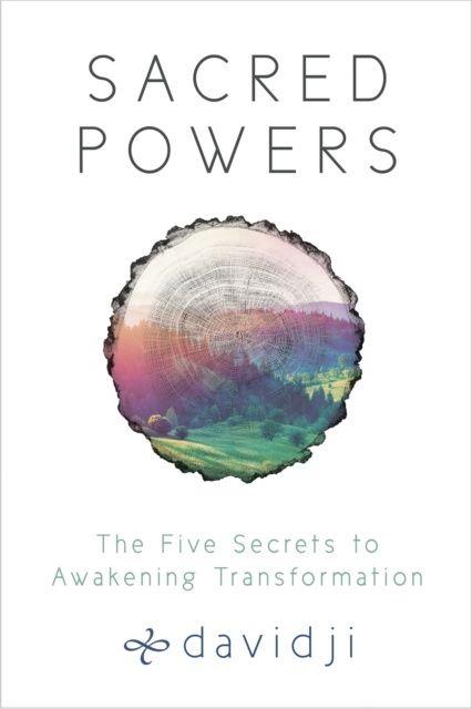 E-Book Sacred Powers Davidji