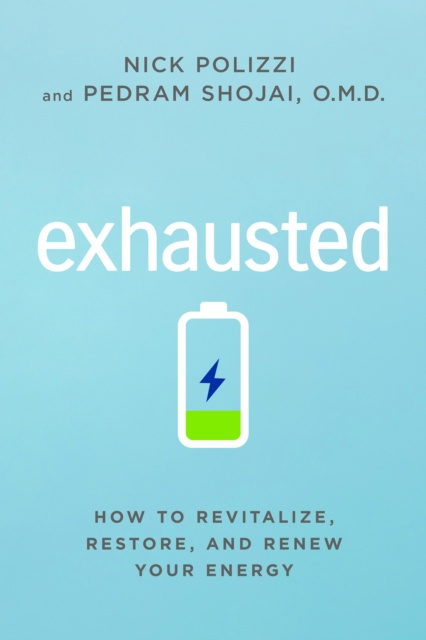 E-knjiga Exhausted Nick Polizzi
