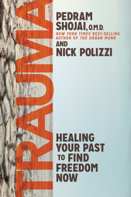 E-knjiga Trauma Nick Polizzi
