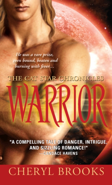 E-knjiga Warrior Cheryl Brooks