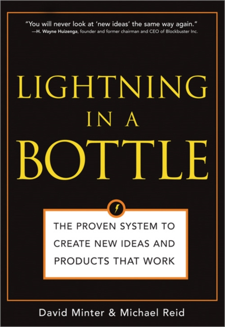 E-book Lightning in a Bottle David Minter