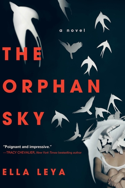 E-kniha Orphan Sky Ella Leya