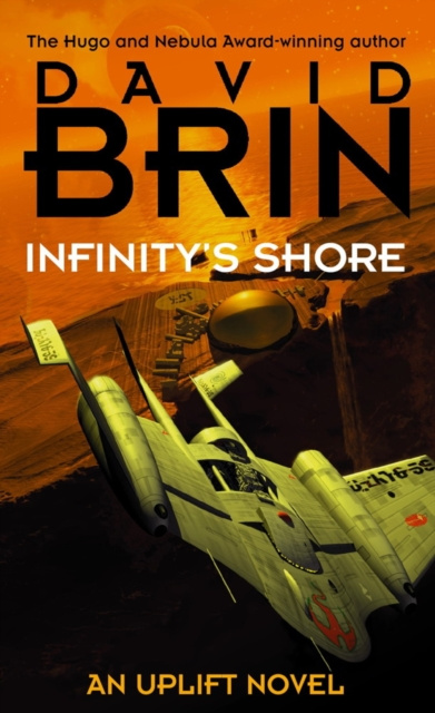E-knjiga Infinity's Shore David Brin