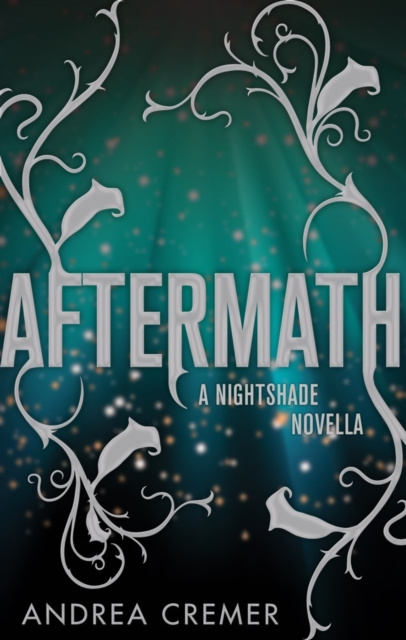 E-book Aftermath Andrea Cremer