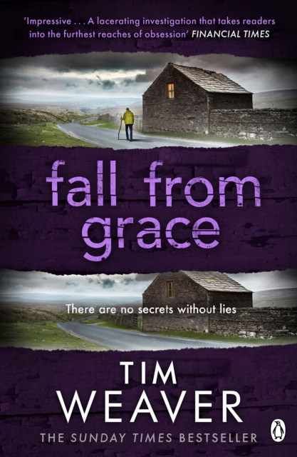 E-Book Fall From Grace Tim Weaver