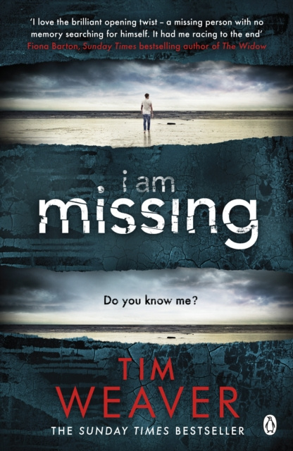 E-book I Am Missing Tim Weaver