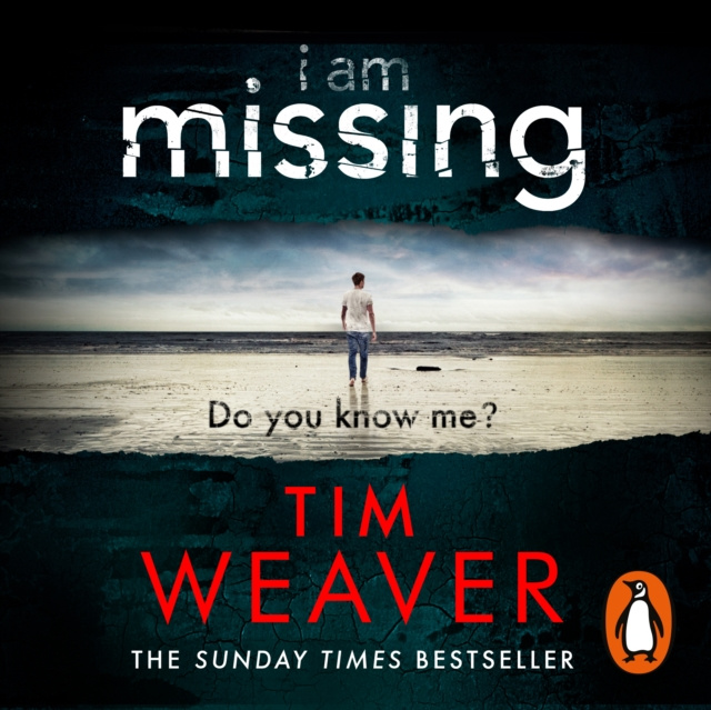 Audiobook I Am Missing Ms Charlotte Ritchie