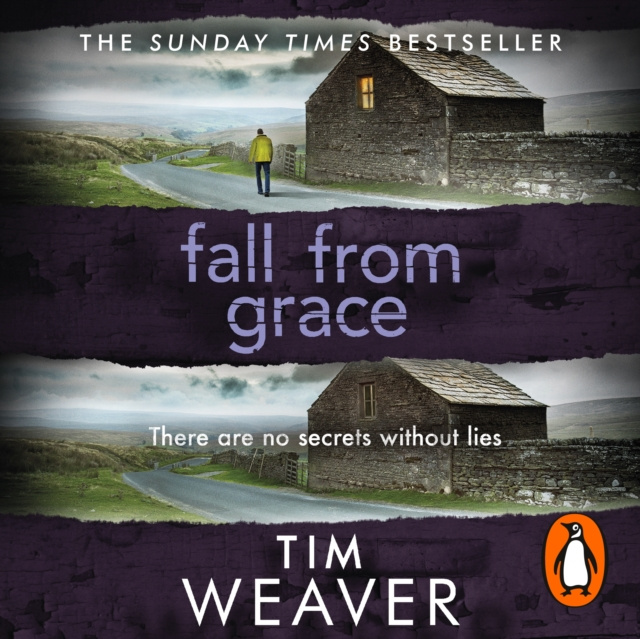 Audiokniha Fall From Grace Tim Weaver