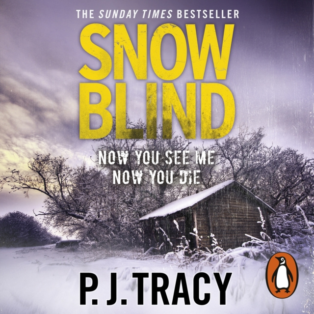 Audiobook Snow Blind P. J. Tracy