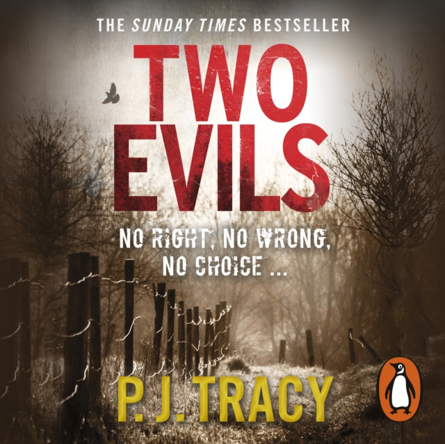 Audiolivro Two Evils P. J. Tracy